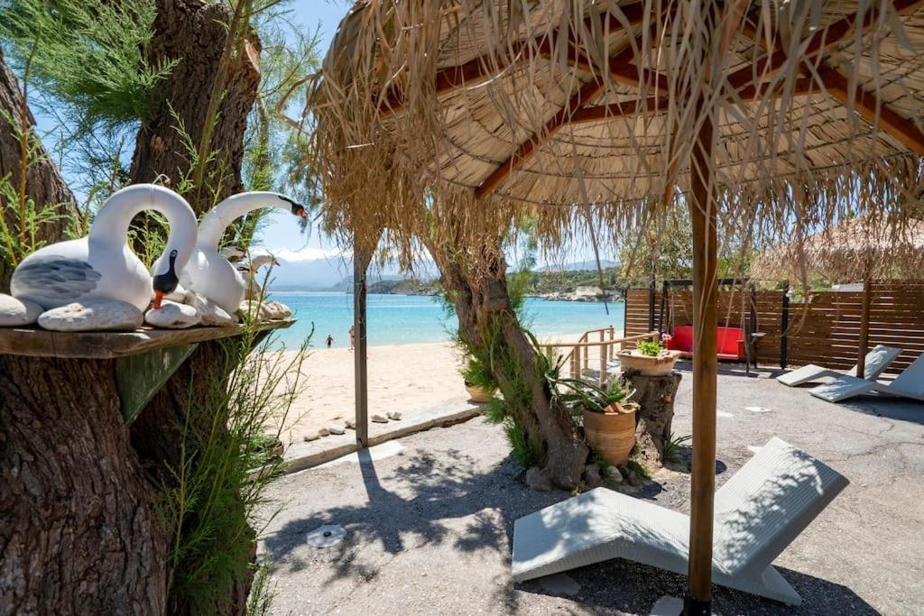 Sea And Sun Metaxy Mas, Brand-New, Beachfront ! Chrissi Akti Chania Exterior foto